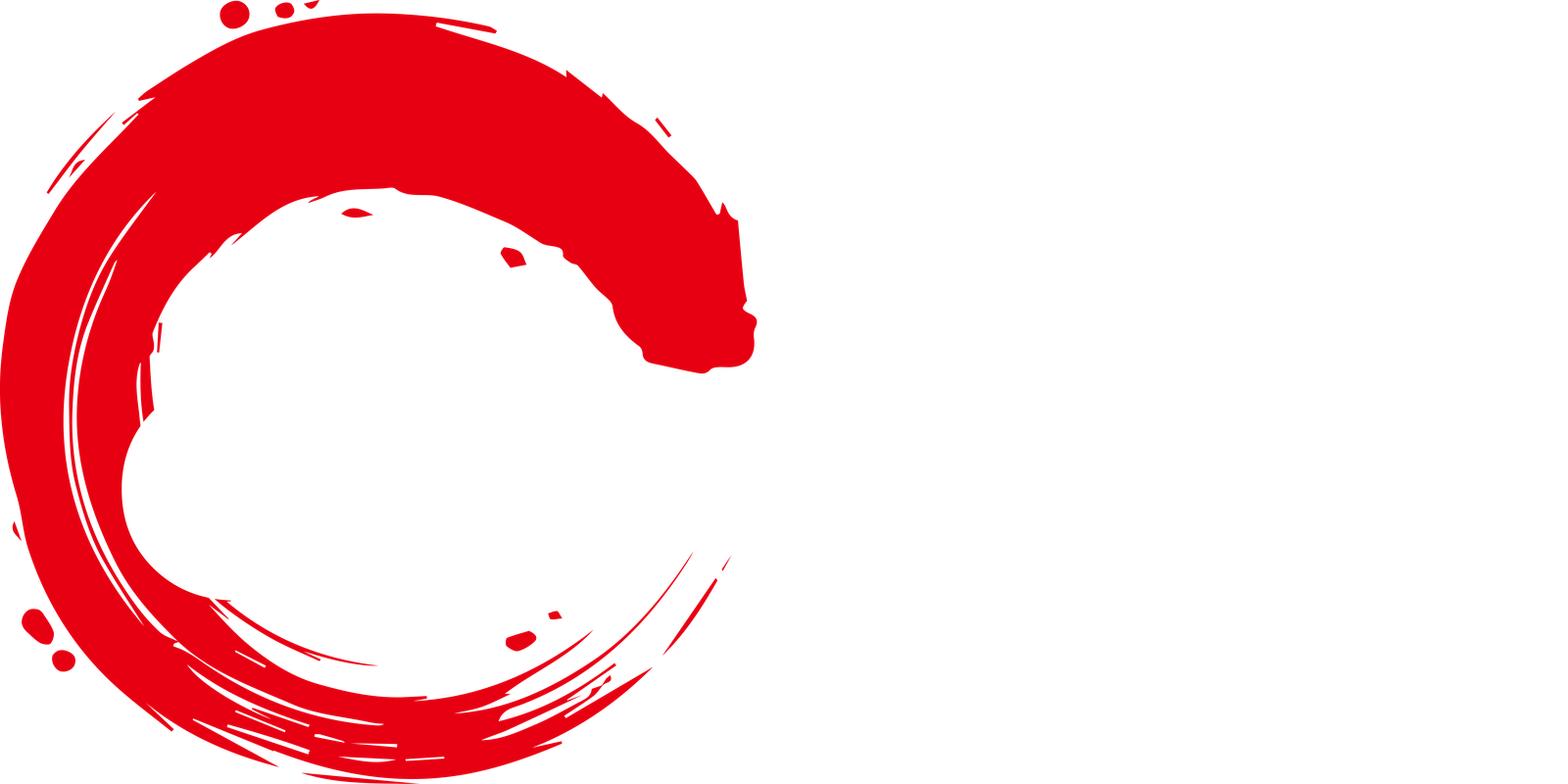 China City Asian Fusion